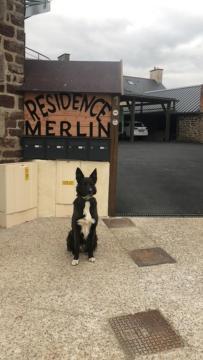 Residence Merlin Appart Des Druides Saint-Malon-sur-Mel Exterior foto